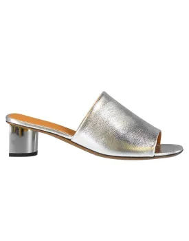 Leo 5 Metallic Slide